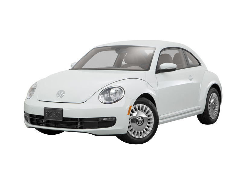 beetle